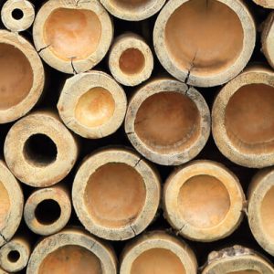 BAMBOO PAPER: TREE-FREE AND SUSTAINABLE