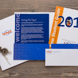 PRINTED FLYERS
